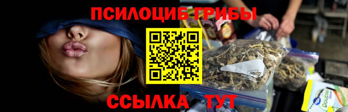 Галлюциногенные грибы Cubensis Солнечногорск